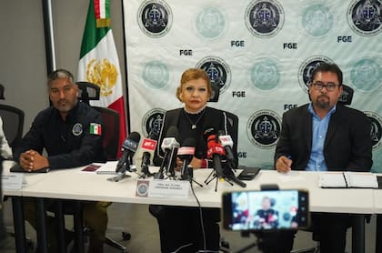 La fiscal estatal María Elena Andrade aseguró que el móvil del asesinato habría sido un intento de robo de la camioneta en la que viajaban los turistas