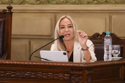 La fiscal general del Ministerio Público de Acusación, María Cecilia Vranicich, en la Legislatura de Santa Fe, al presentar su informa anual