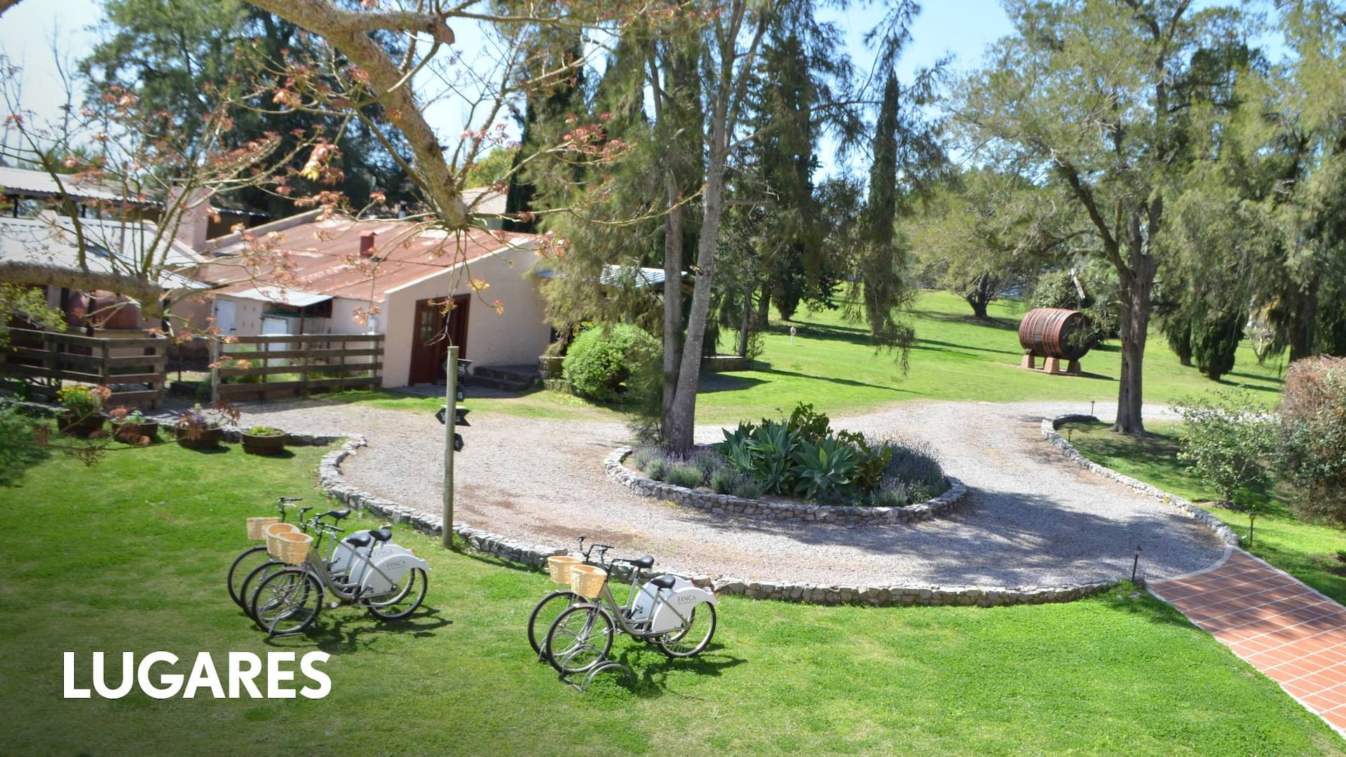La flamante propuesta de turismo enológico en las cercanías de Colonia.