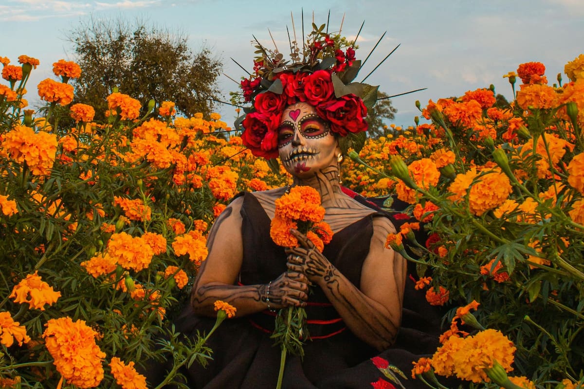 La flor de cempasúchil es uno de los símbolos más importantes del Día de Muertos en México (Pexels/Ramon Hernandez)