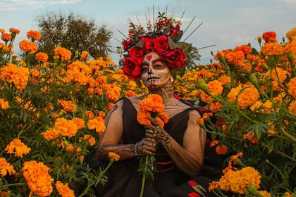 La flor de cempasúchil es uno de los símbolos más importantes del Día de Muertos en México (Pexels/Ramon Hernandez)