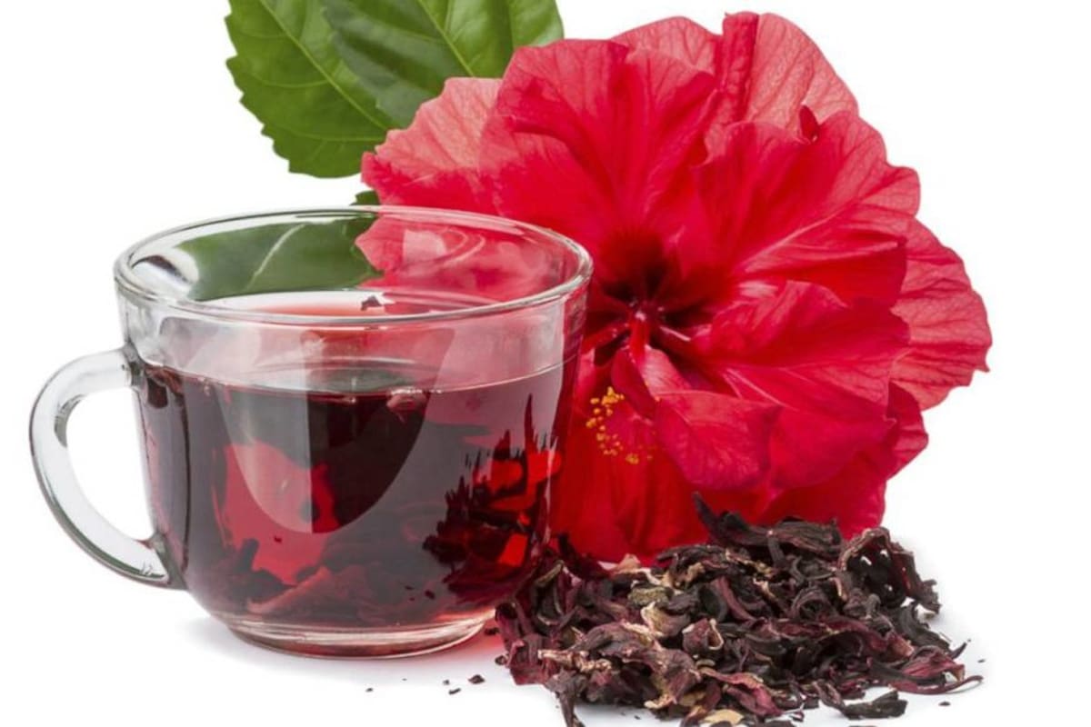 La flor de esta planta es utilizada en infusiones debido a sus múltiples beneficios para la salud