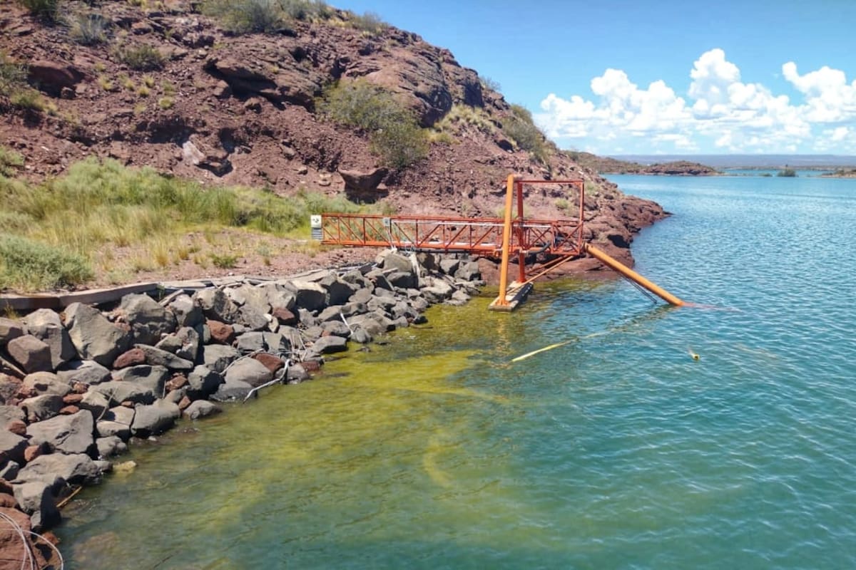 La floración de algas produce una alteración en los colores del agua.