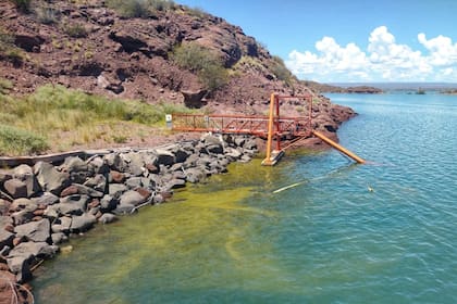 La floración de algas produce una alteración en los colores del agua.