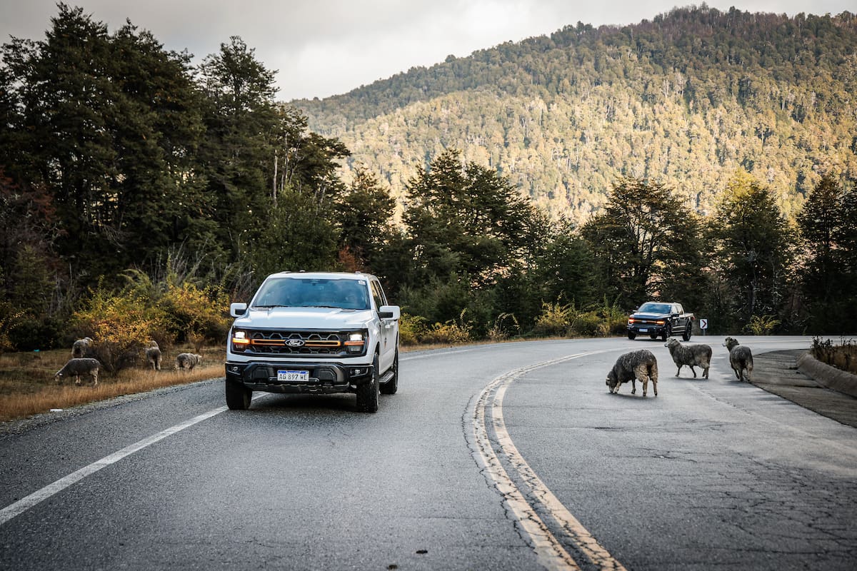 La Ford F-150 Tremor por la ruta 40 en Villa La Angostura