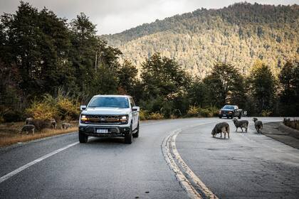 La Ford F-150 Tremor por la ruta 40 en Villa La Angostura