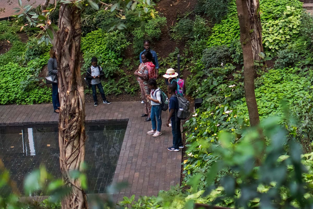 La Ford Foundation Center for Social Justice, en Nueva York, transporta a sus visitantes lejos del ambiente de la gran ciudad