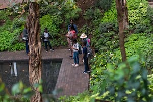 La Ford Foundation Center for Social Justice, en Nueva York, transporta a sus visitantes lejos del ambiente de la gran ciudad