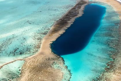 La formación biológica de dimensiones continentales une la costa africana con el golfo de México