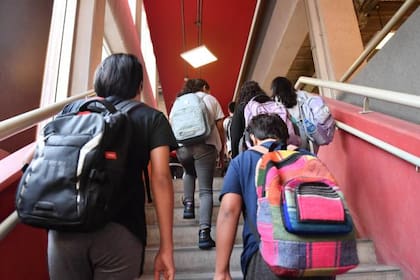 La formación del capital humano, bajo la lupa de los especialistas