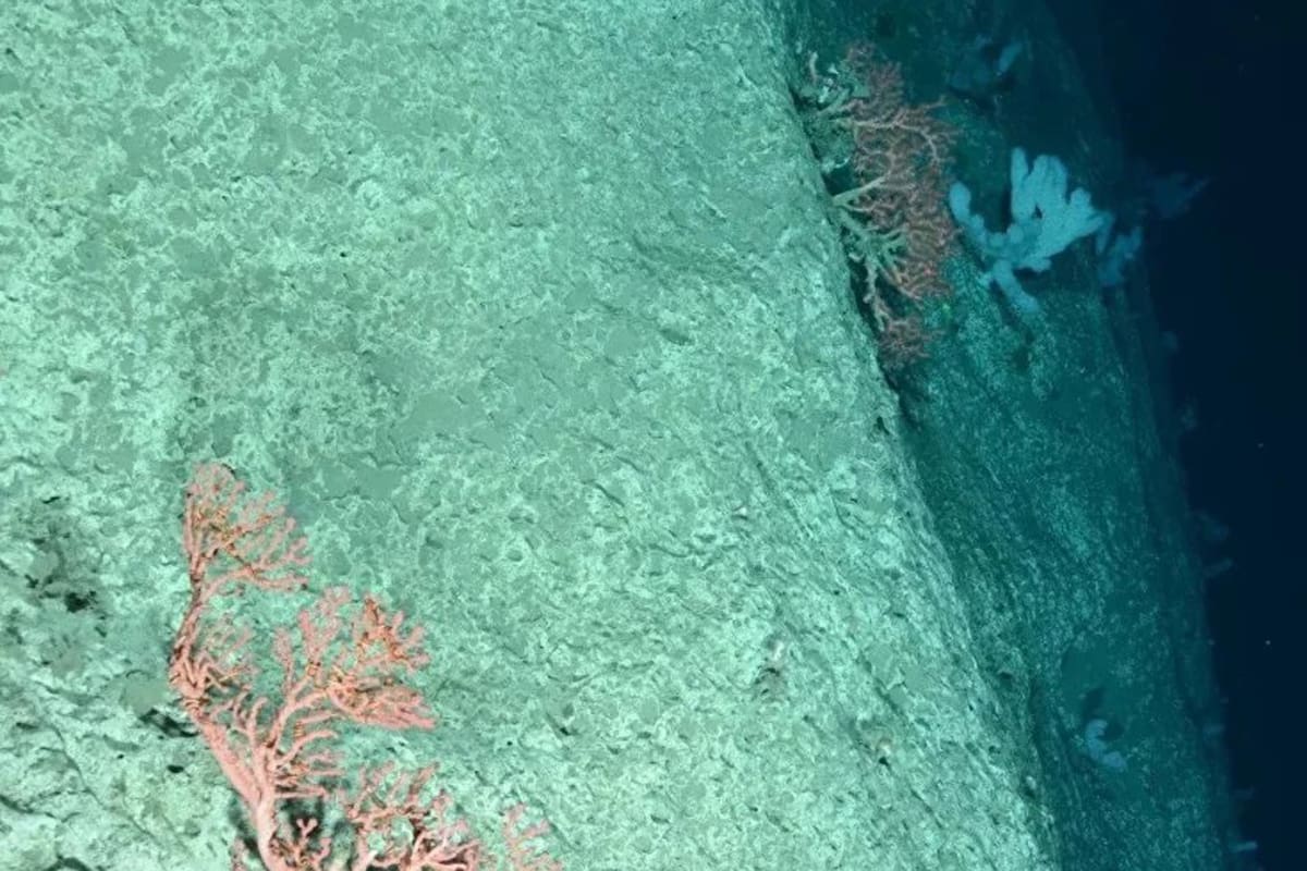 La Fosa de las Marianas, el punto más profundo del océano