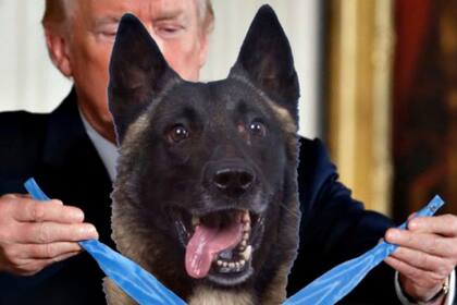 La foto compartida por el presidente Donald Trump en su cuenta de Twitter