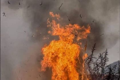 La foto de un "diablo de fuego", tomada durante los incendios de Córdoba, se volvió viral esta semana; fotógrafo que captó el increíble momento contó cómo se le presentó el particular momento