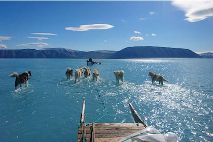 La foto del científico Steffen Olsen, del Centro para el Océano y el Hielo del el Instituto Meteorológico de Dinamarca, en el fiordo Inglefield Bredning