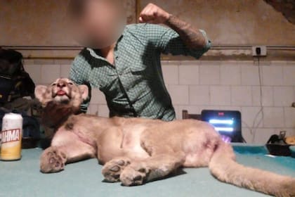 La foto del presunto cazador del puma que se viralizó en redes sociales