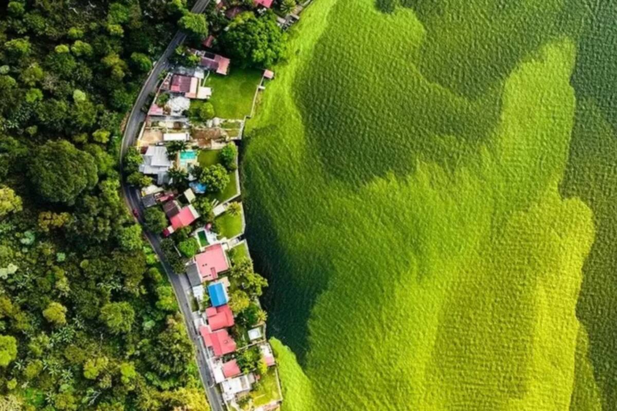 La foto ganadora del premio del Museo de Historia Natural de Londres