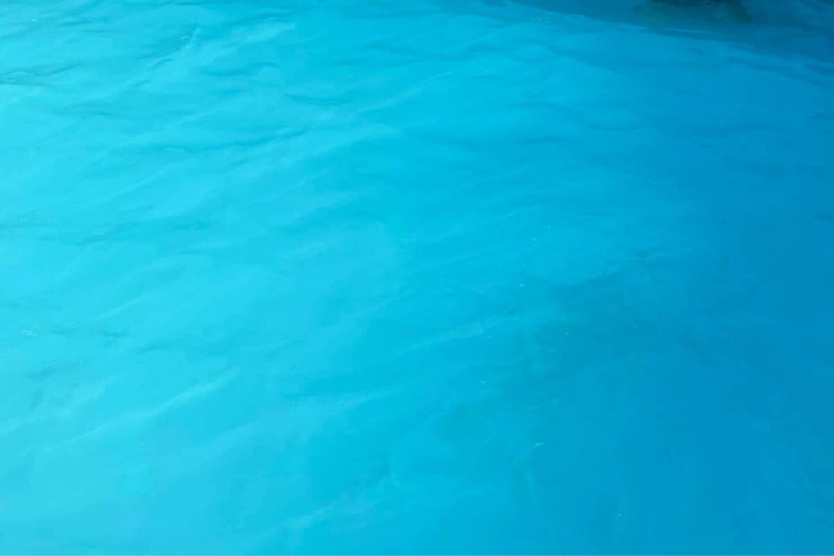 La foto generó una fuerte repercusión en las redes sociales