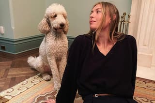 El descuido de María Sharapova junto a su perro