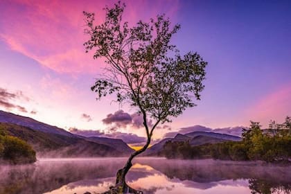 La fotógrafa Andrea Graham logró capturar la magia del amanecer durante un viaje a un parque nacional ubicado en Gales