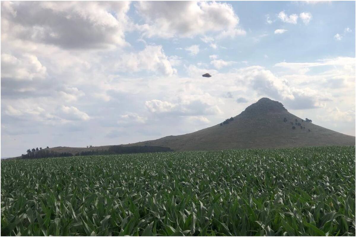 La fotografía fue tomada por la emprendedora Luciana Vismara