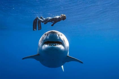 La fotografía más conocida de Ocean Ramsey