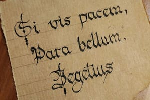 La frase del latín que se volvió tendencia por su significado