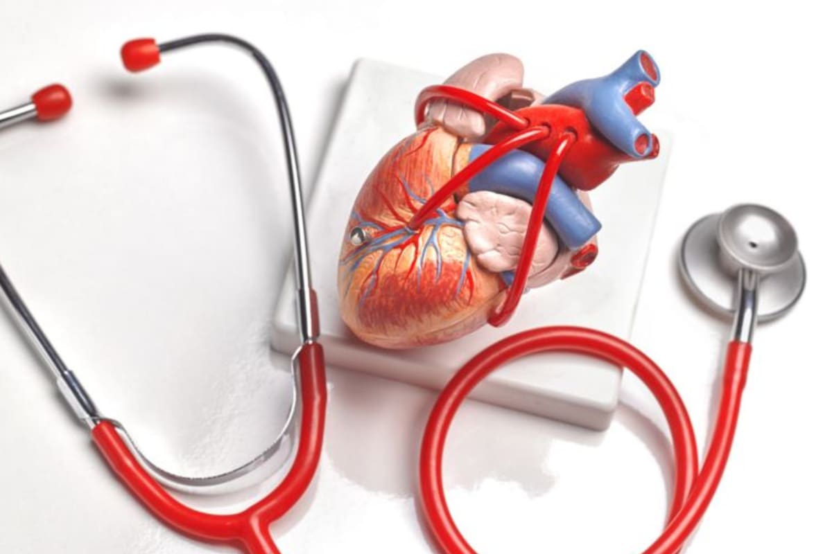 La frecuencia cardíaca “habla” sobre tu estado físico y puede ayudarte a mejorar tu rutina de entrenamiento