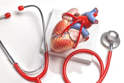 La frecuencia cardíaca “habla” sobre tu estado físico y puede ayudarte a mejorar tu rutina de entrenamiento