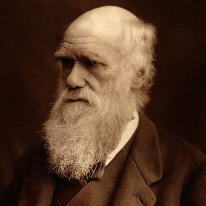 La frustración de Darwin con el "extraordinario" caso que podría resultar "fatal" para su teoría de la evolución quedó plasmada en una serie de cartas.