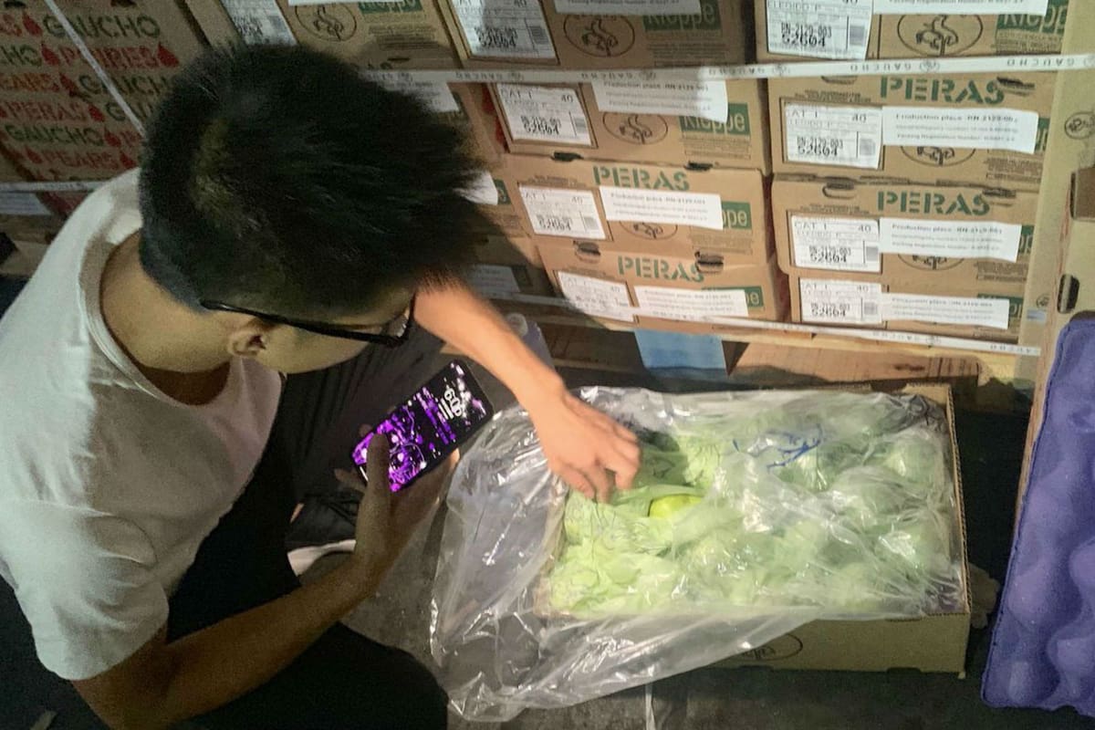 La fruta de la empresa argentina en China