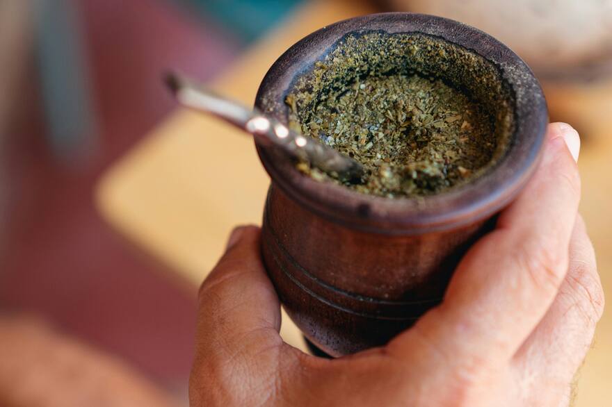 Fruto Mate La fruta ideal para poner en el mate: tiene antioxidantes, ayuda a ...