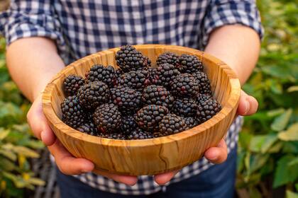La fruta que es una fuente indirecta de colágeno y tiene efecto antiinflamatorio
