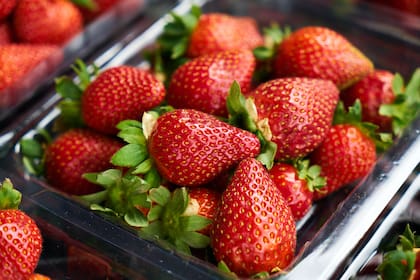 La frutilla contiene un alto nivel de vitamina C y es considerada un poderoso antioxidante