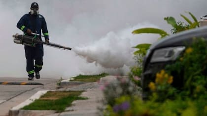 La fumigación es una de las maneras más efectivas para combatir la reproducción de los mosquitos que causan diversas enfermedades infecciosas como el dengue
