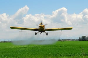 La fumigación es una tarea considerada fundamental