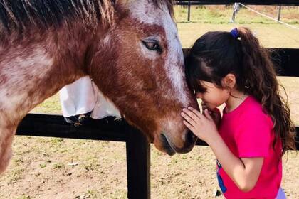 La Fundación Taca, Seres de Luz, busca aportes para poder mantener a sus caballos. Gentileza Samanta Pistochi