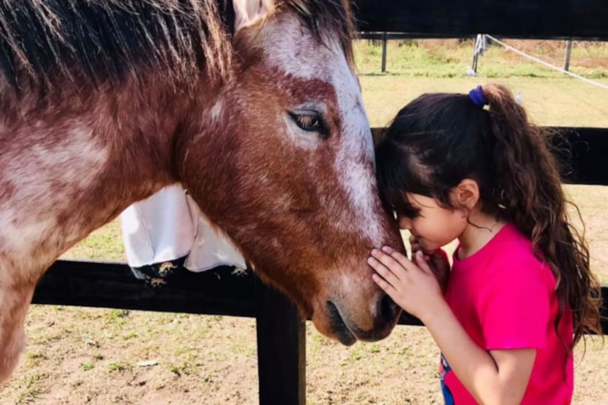 La Fundación Taca, Seres de Luz, busca aportes para poder mantener a sus caballos. Gentileza Samanta Pistochi