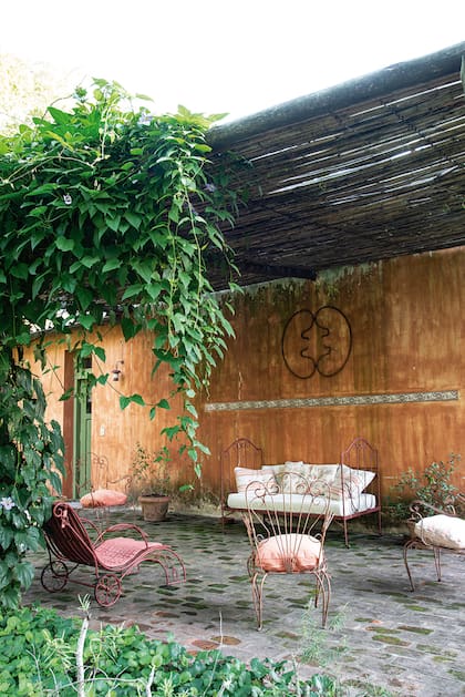La galería con la Thunbergia grandiflora que trepa y da encanto al lugar con sus enormes racimos de flores liláceas que contrastan con los tonos cálidos de las paredes