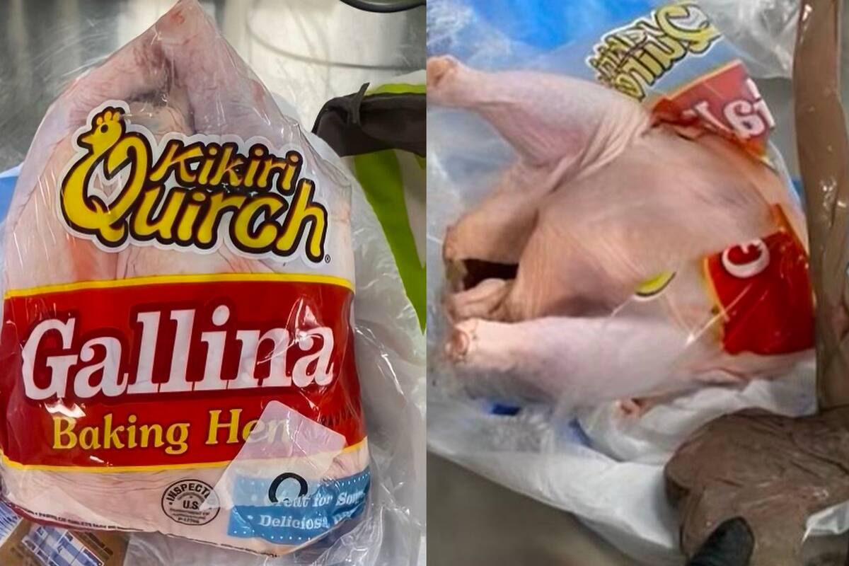 La gallina tenía un relleno inesperado; la pasajera quería pasar desapercibida en el aeropuerto