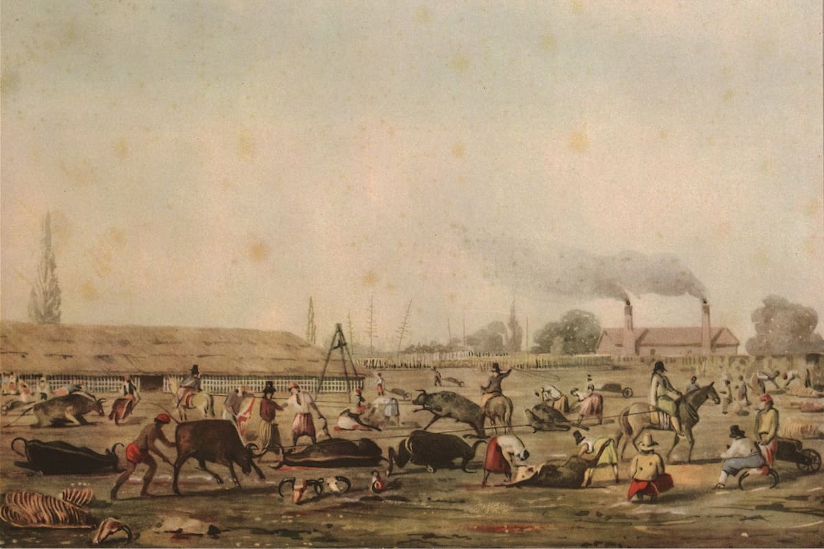 La ganadería creció con los saladeros