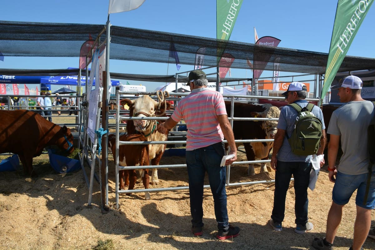 La ganadería, otro foco de atención de la muestra