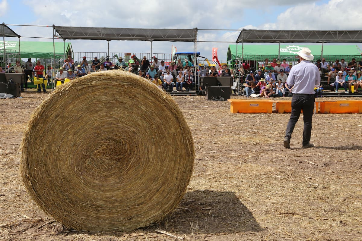 La ganadería será protagonista en la muestra