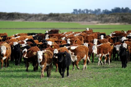 La ganadería tendrá una jornada