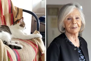 La gata de Beatriz Sarlo vivía en el departamento de la intelectual, antes de ser desalojada por la Justicia