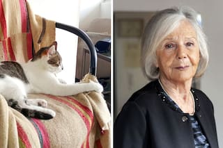 Rechazan el pedido de los protectores de animales y el encargado tendrá que informar sobre Niní