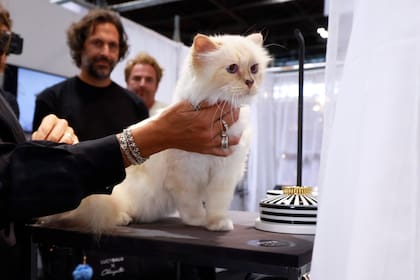 La gata de Karl Lagerfeld, en la feria de diseño parisina