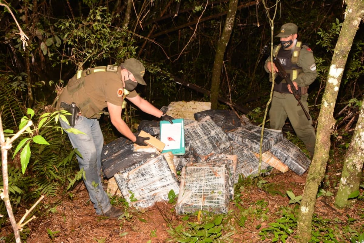 La Gendarmería incautó más de 2700 kilos de marihuana en el monte, a la altura de la localidad de Colonia Delicias, en Misiones