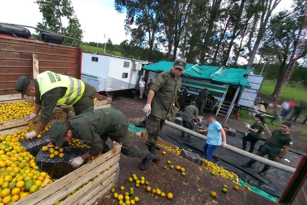 La Gendarmería secuestró 1800 kilos de marihuana en Entre Ríos