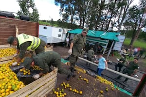 La Gendarmería secuestró 1800 kilos de marihuana en Entre Ríos
