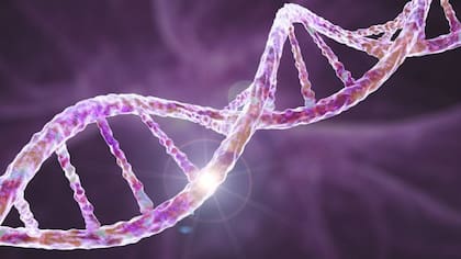 La genética puede explicar en gran parte por qué somos diferentes unos de otros
